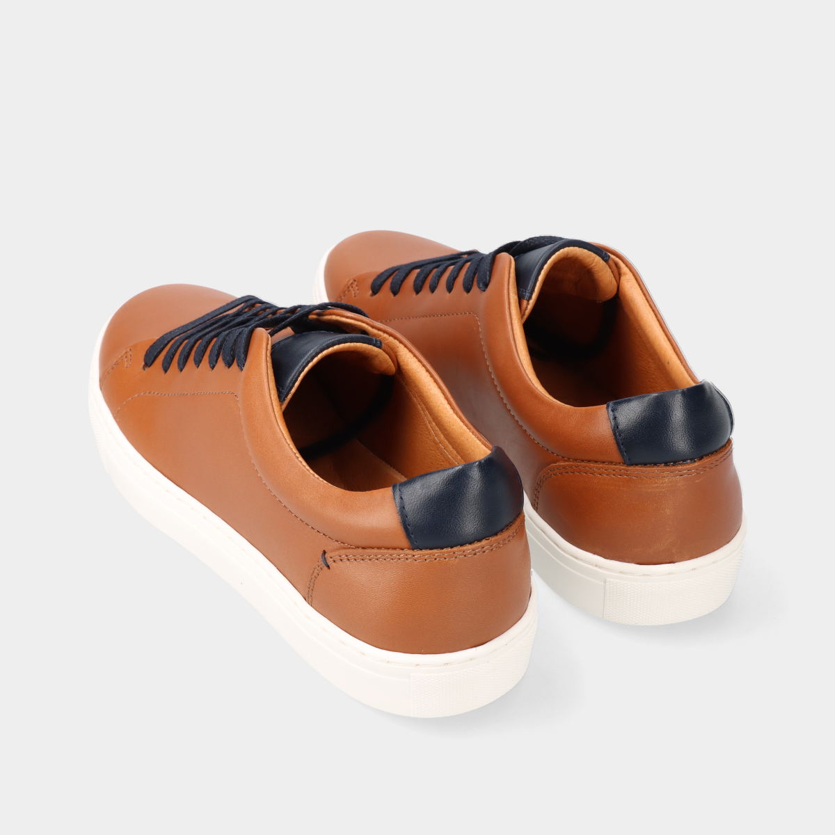 4110510.21_4 4110510.21_4