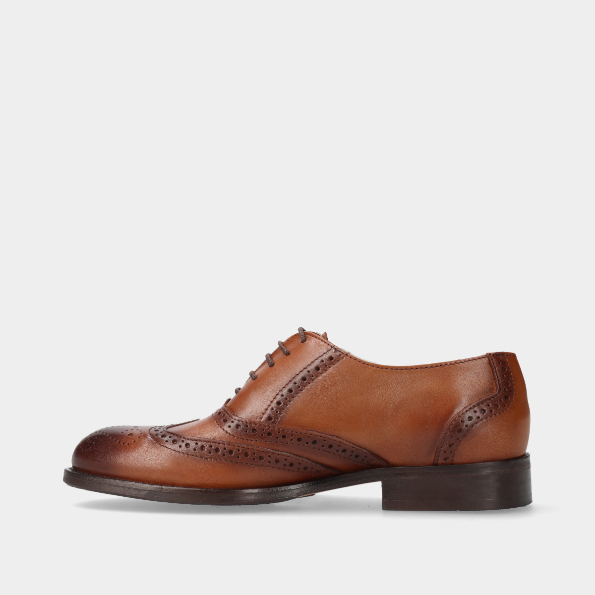 4110519.120_2 4110519.120_2