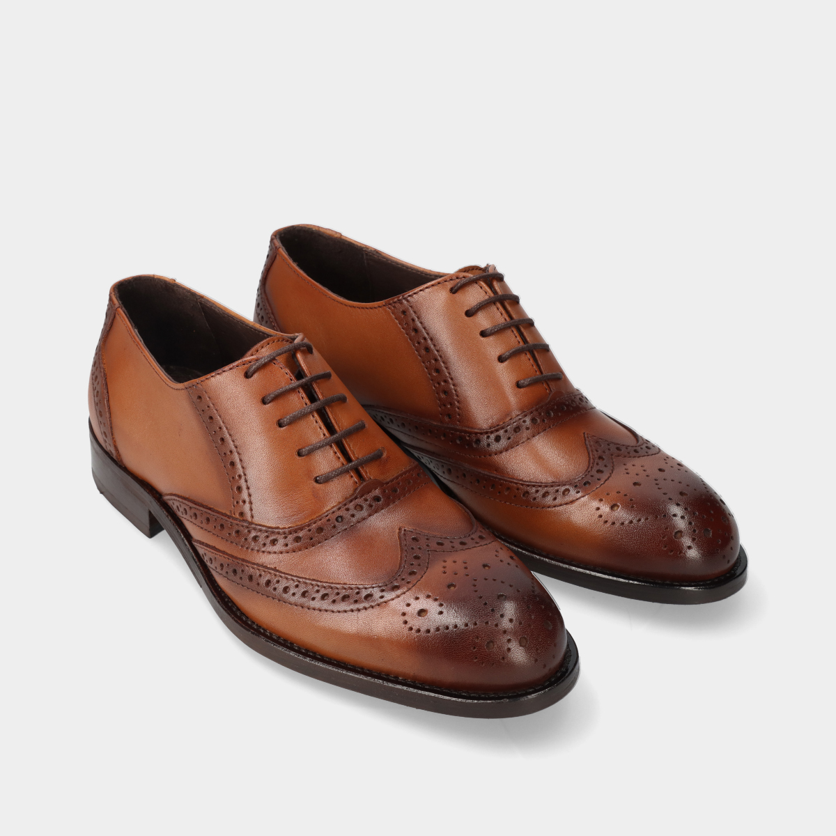 4110519.120_3 4110519.120_3