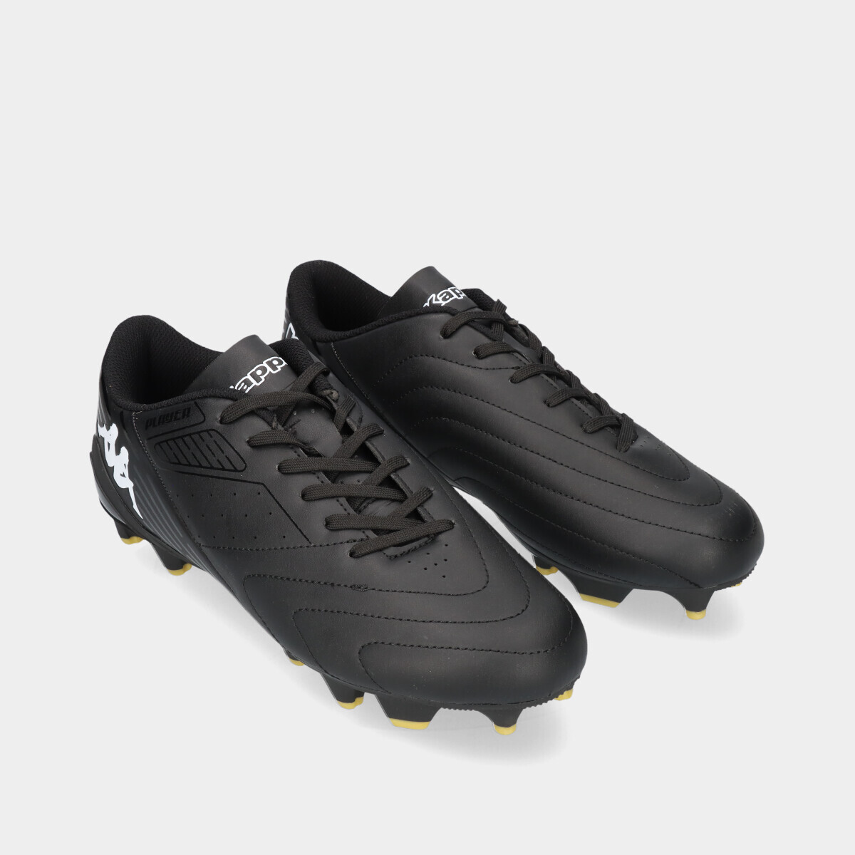 4440106.1_3 4440106.1_3