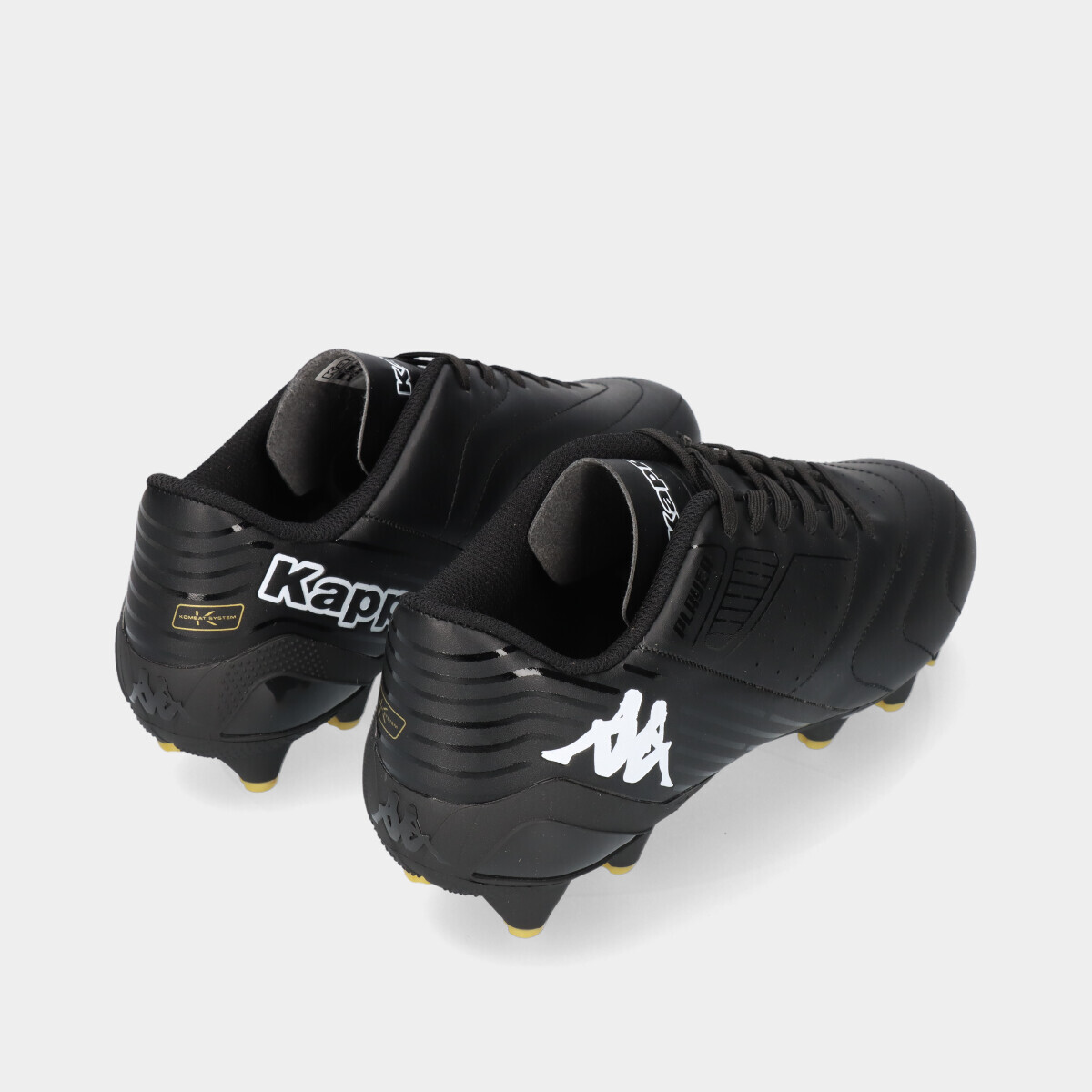 4440106.1_4 4440106.1_4