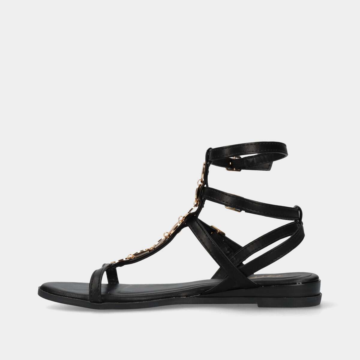 48825091.1_2 48825091.1_2