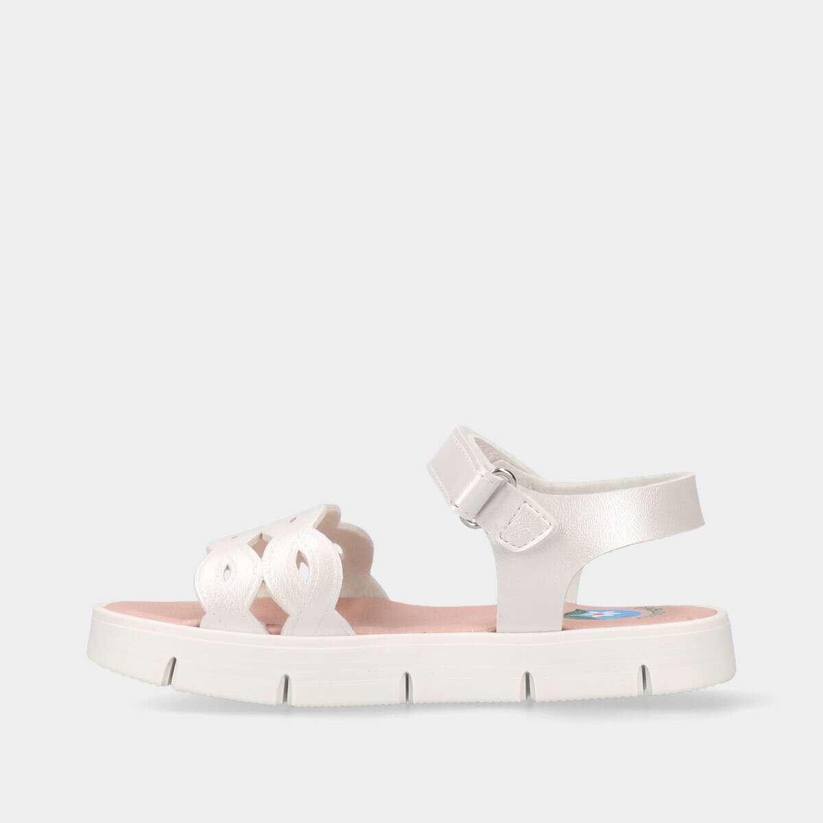 232440704.3_2 232440704.3_2