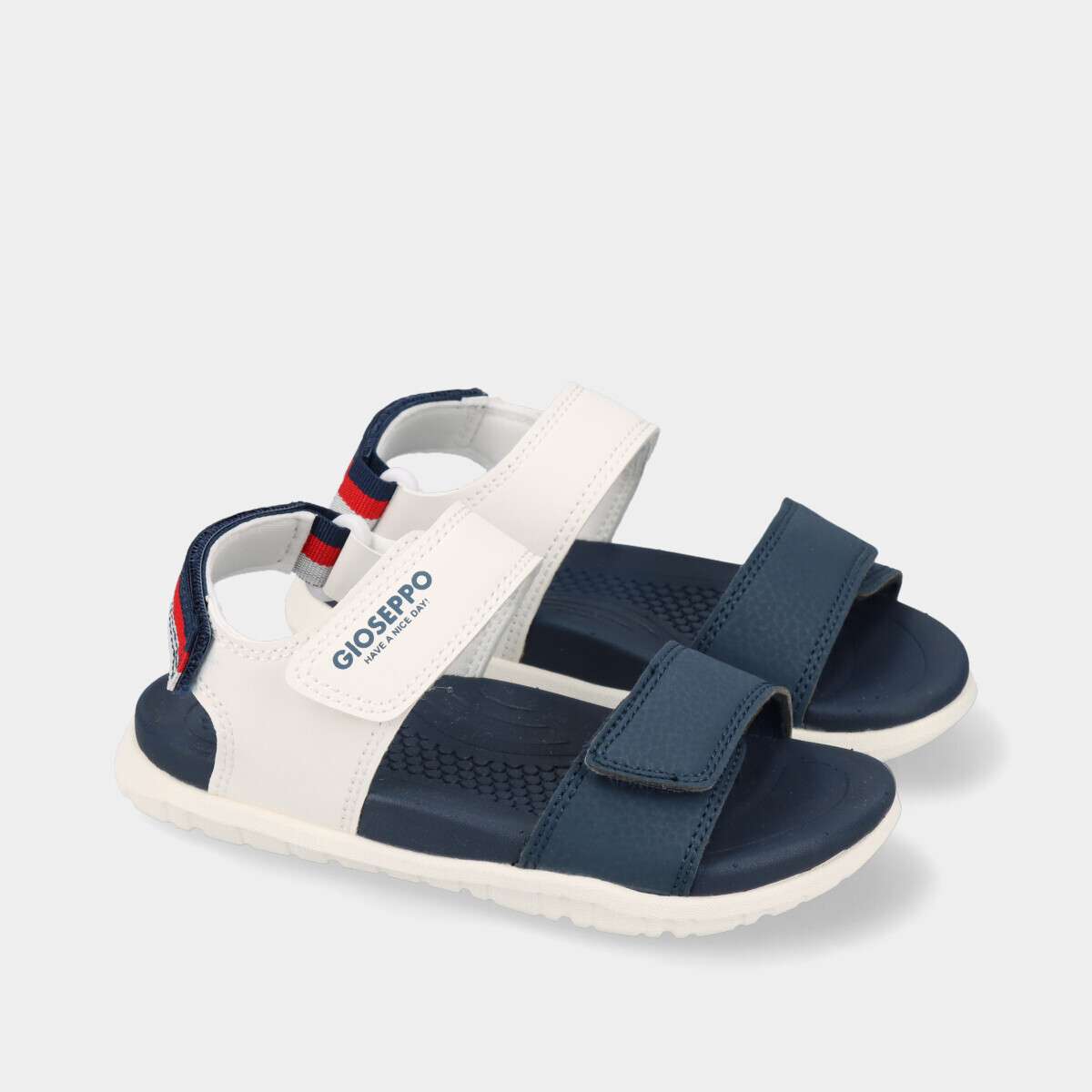 017ANDERSON.55_3 017ANDERSON.55_3