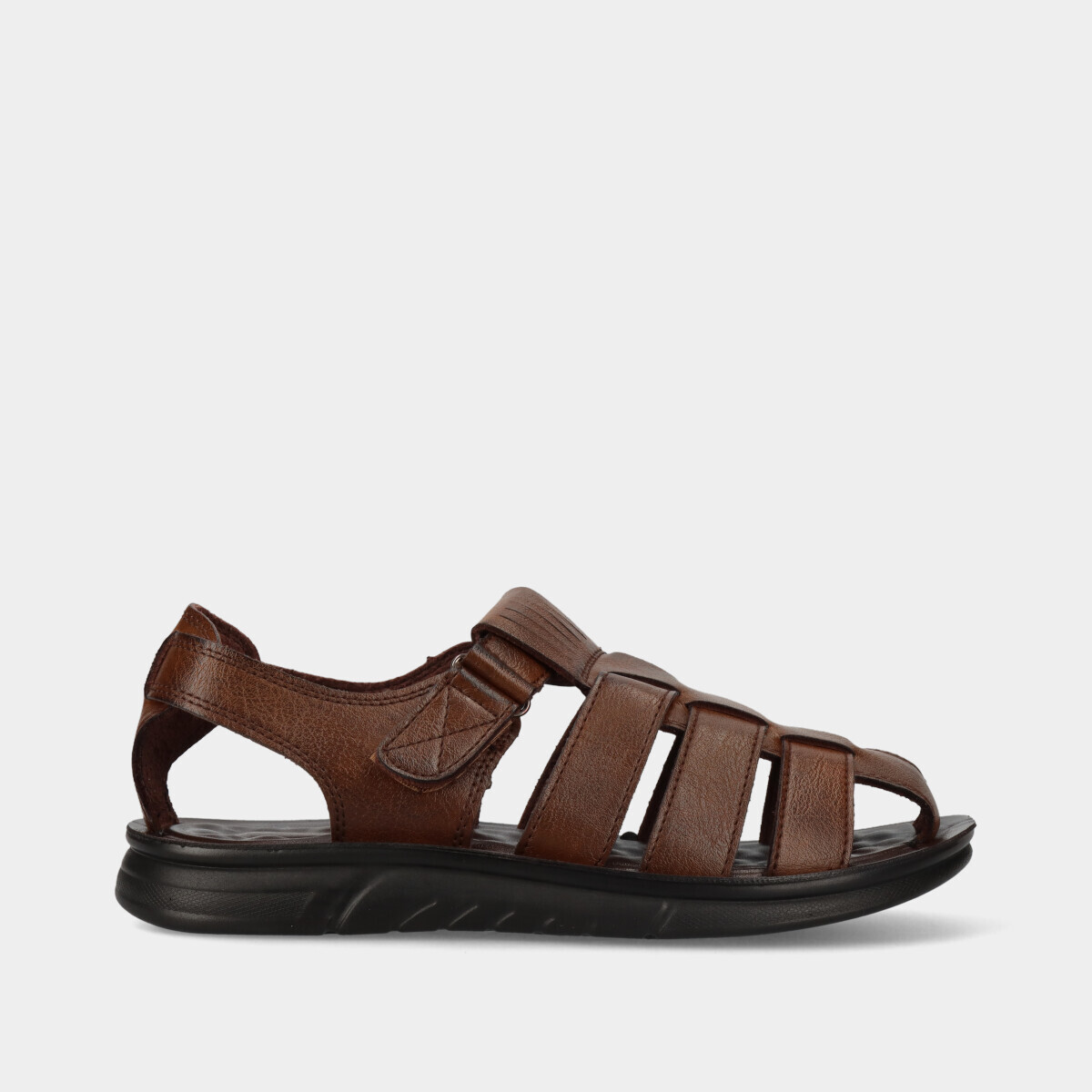 Castanho